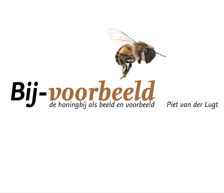 Bijvoorbeeld